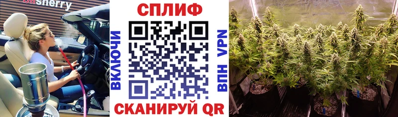 Где найти наркотики Светлый ГАШИШ  Конопля  Cocaine  Меф 