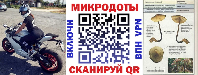 Галлюциногенные грибы Cubensis Светлый