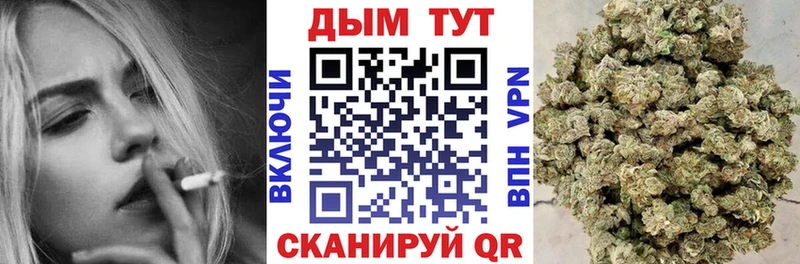 Каннабис OG Kush  Светлый 